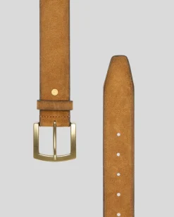 Classic Suede Belt in Dark Brown