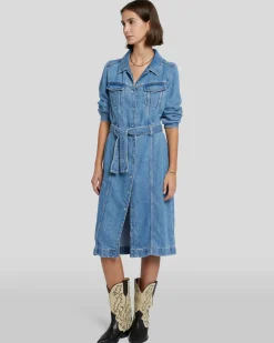 Denim Lustre Dress in Valentine